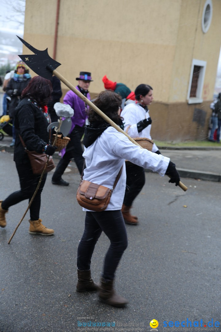 Fasnet Festumzug mit Motivwagen : Stockach am Bodensee, 01.02.2015