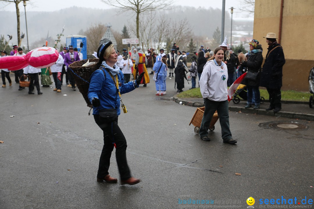 Fasnet Festumzug mit Motivwagen : Stockach am Bodensee, 01.02.2015