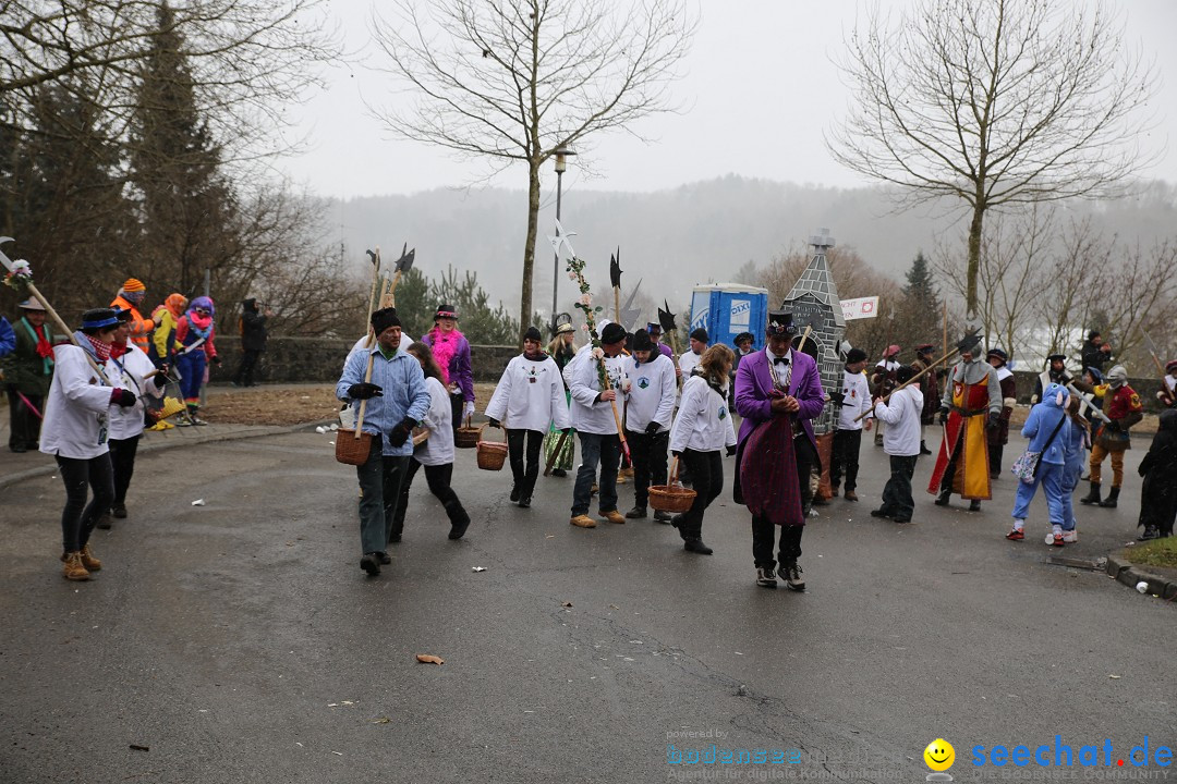 Fasnet Festumzug mit Motivwagen : Stockach am Bodensee, 01.02.2015