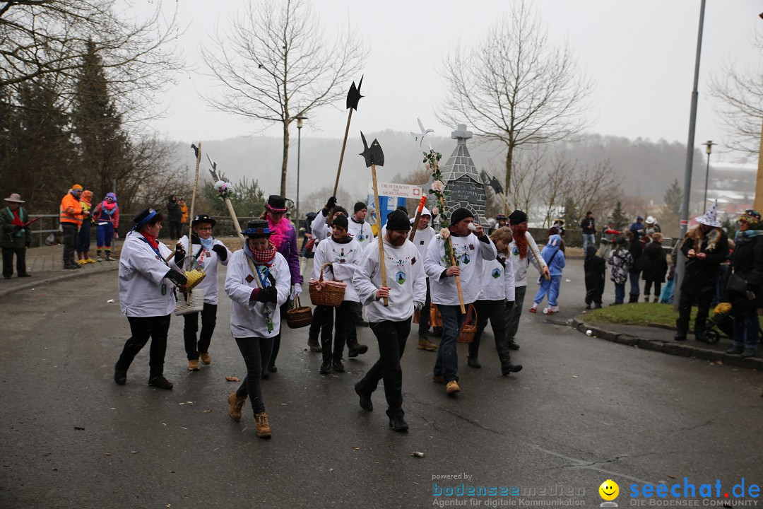 Fasnet Festumzug mit Motivwagen : Stockach am Bodensee, 01.02.2015