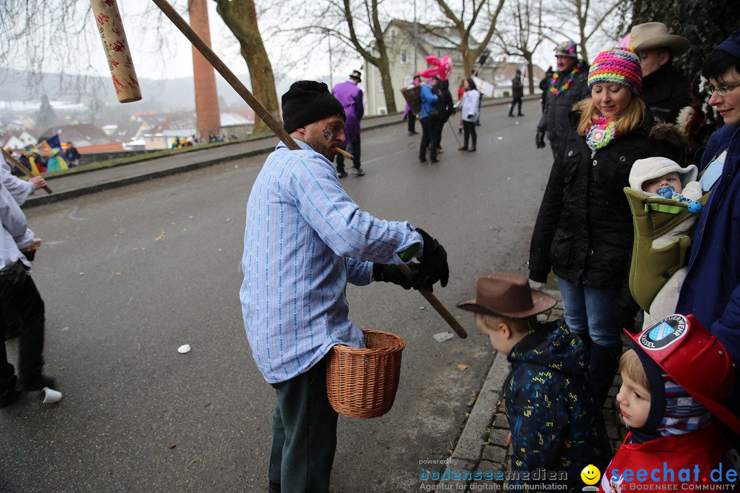 Fasnet Festumzug mit Motivwagen : Stockach am Bodensee, 01.02.2015