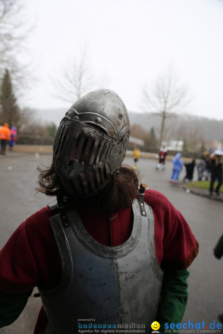 Fasnet Festumzug mit Motivwagen : Stockach am Bodensee, 01.02.2015