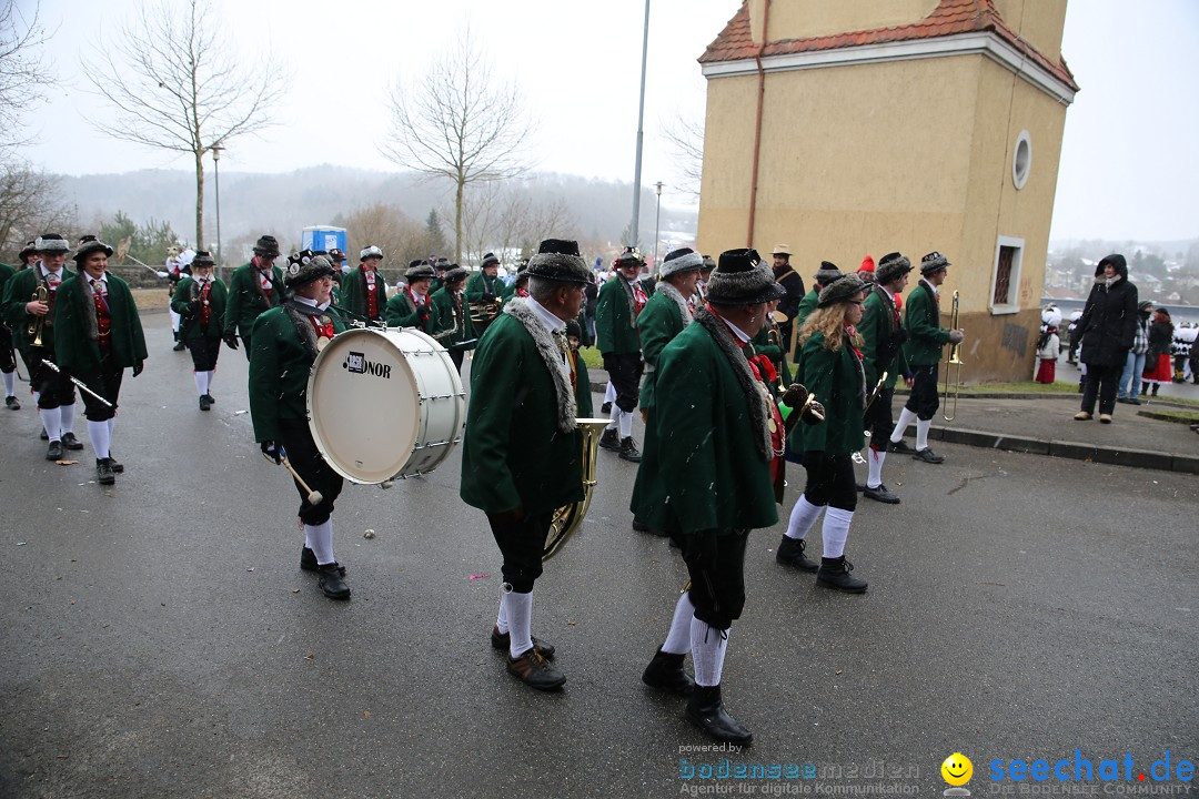 Fasnet Festumzug mit Motivwagen : Stockach am Bodensee, 01.02.2015