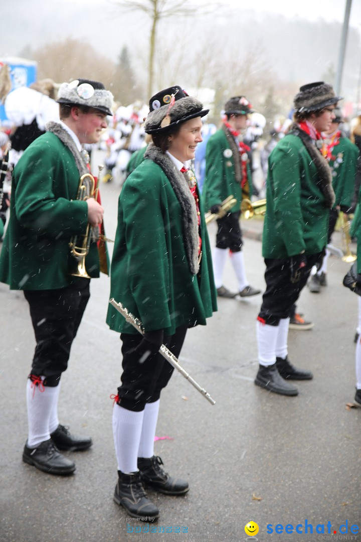 Fasnet Festumzug mit Motivwagen : Stockach am Bodensee, 01.02.2015