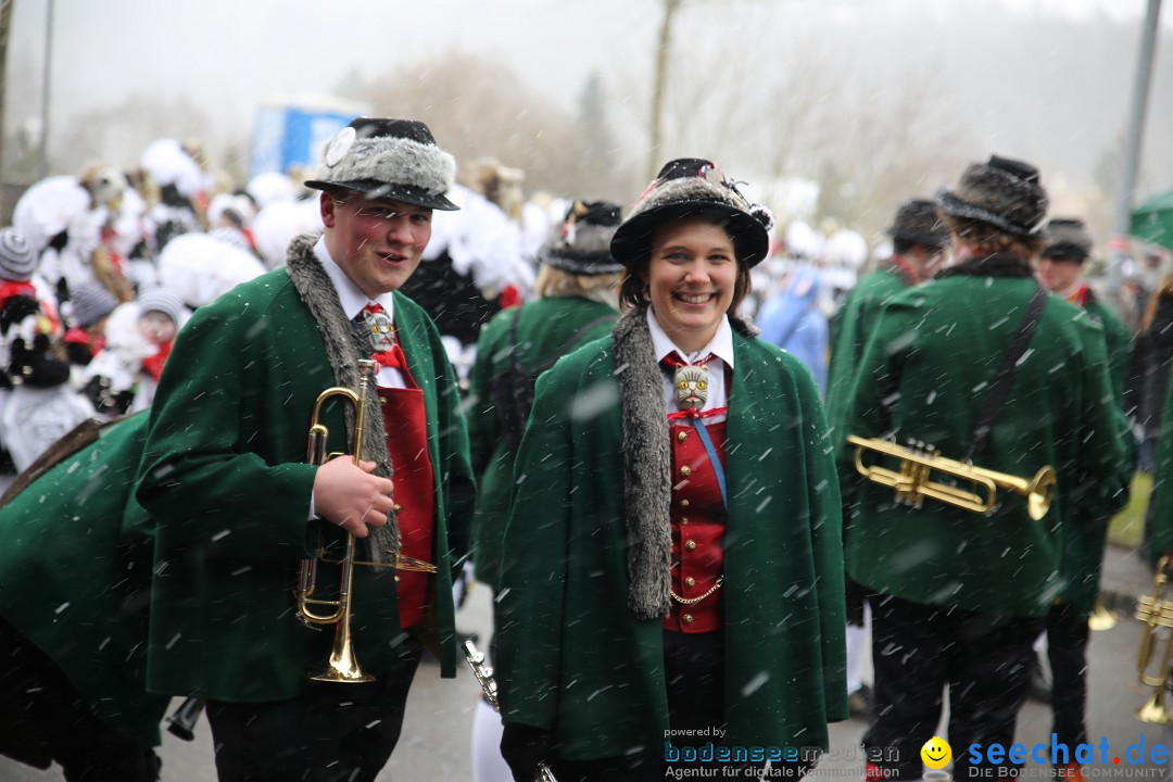 Fasnet Festumzug mit Motivwagen : Stockach am Bodensee, 01.02.2015