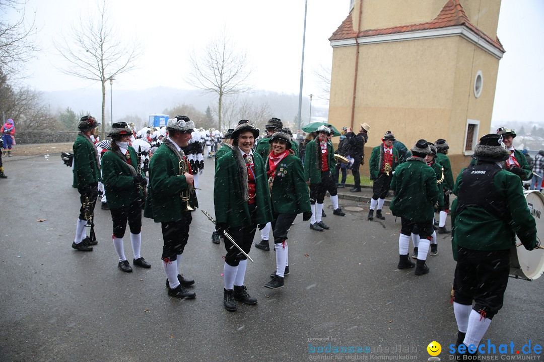 Fasnet Festumzug mit Motivwagen : Stockach am Bodensee, 01.02.2015