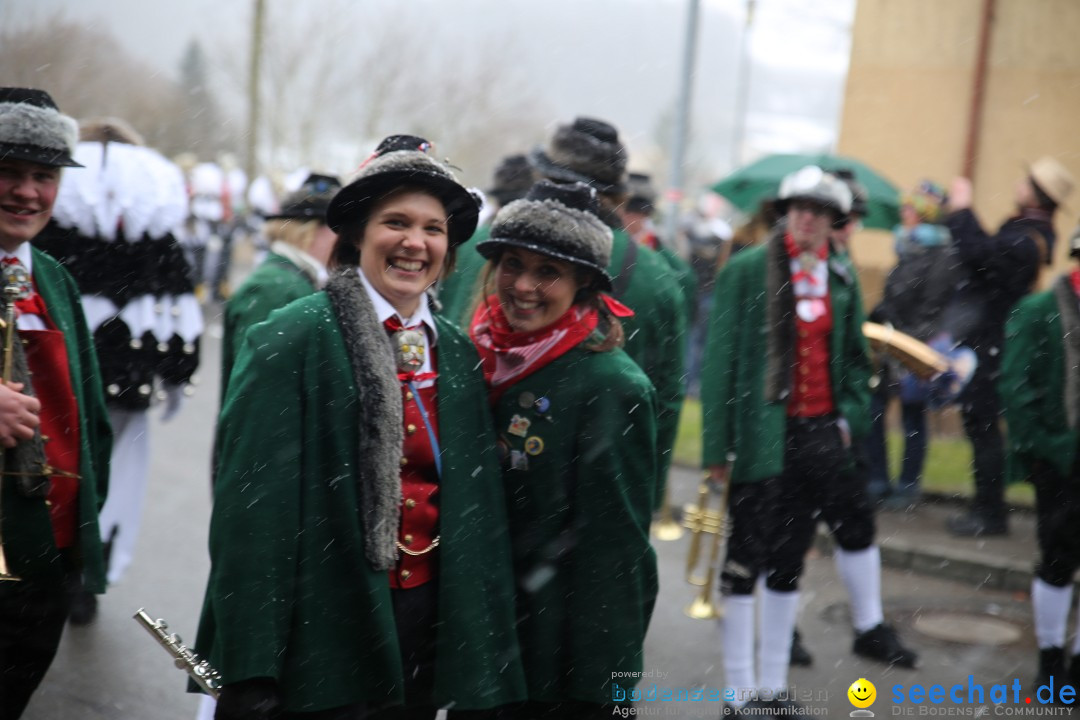 Fasnet Festumzug mit Motivwagen : Stockach am Bodensee, 01.02.2015