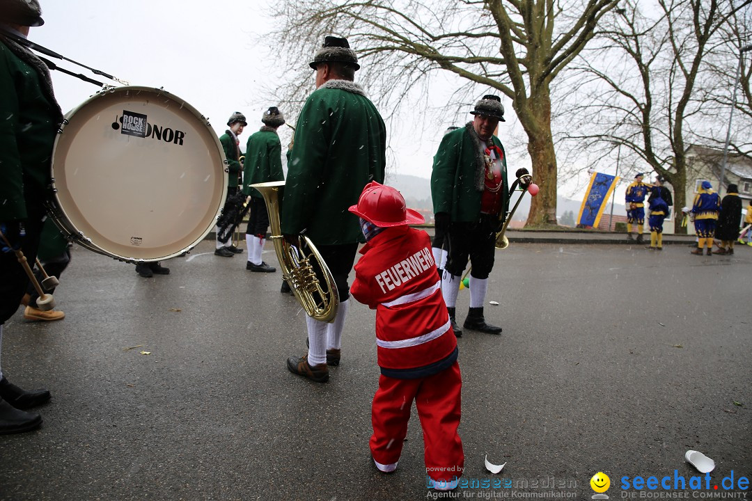 Fasnet Festumzug mit Motivwagen : Stockach am Bodensee, 01.02.2015