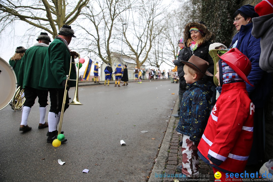 Fasnet Festumzug mit Motivwagen : Stockach am Bodensee, 01.02.2015