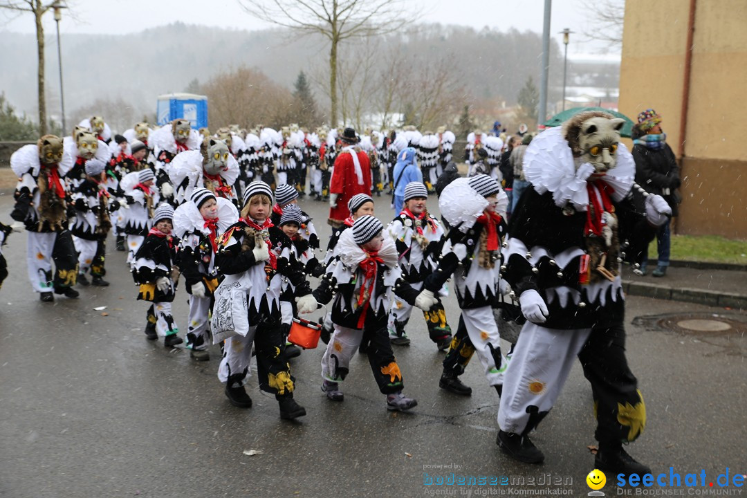 Fasnet Festumzug mit Motivwagen : Stockach am Bodensee, 01.02.2015