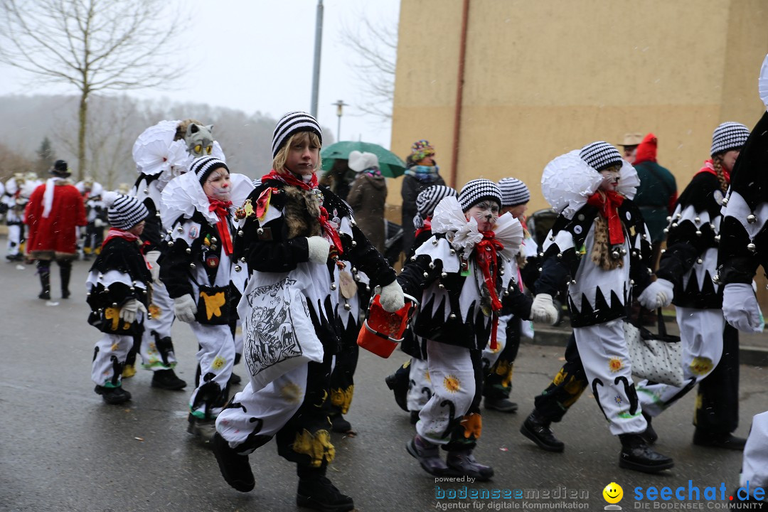 Fasnet Festumzug mit Motivwagen : Stockach am Bodensee, 01.02.2015