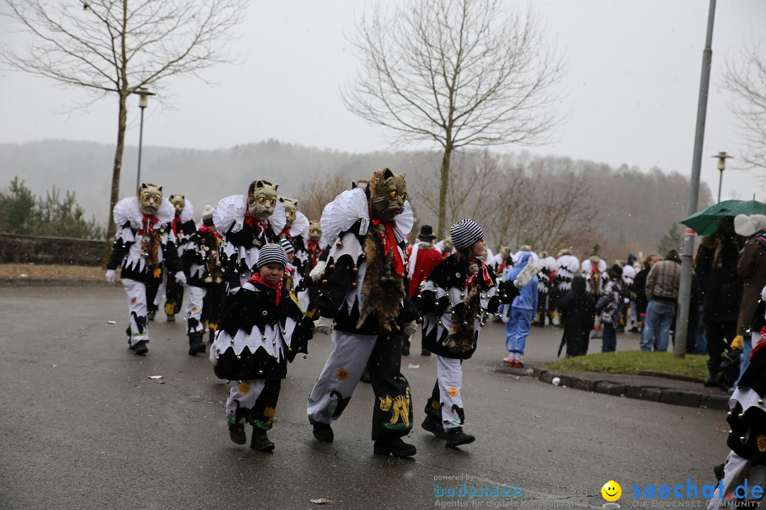 Fasnet Festumzug mit Motivwagen : Stockach am Bodensee, 01.02.2015