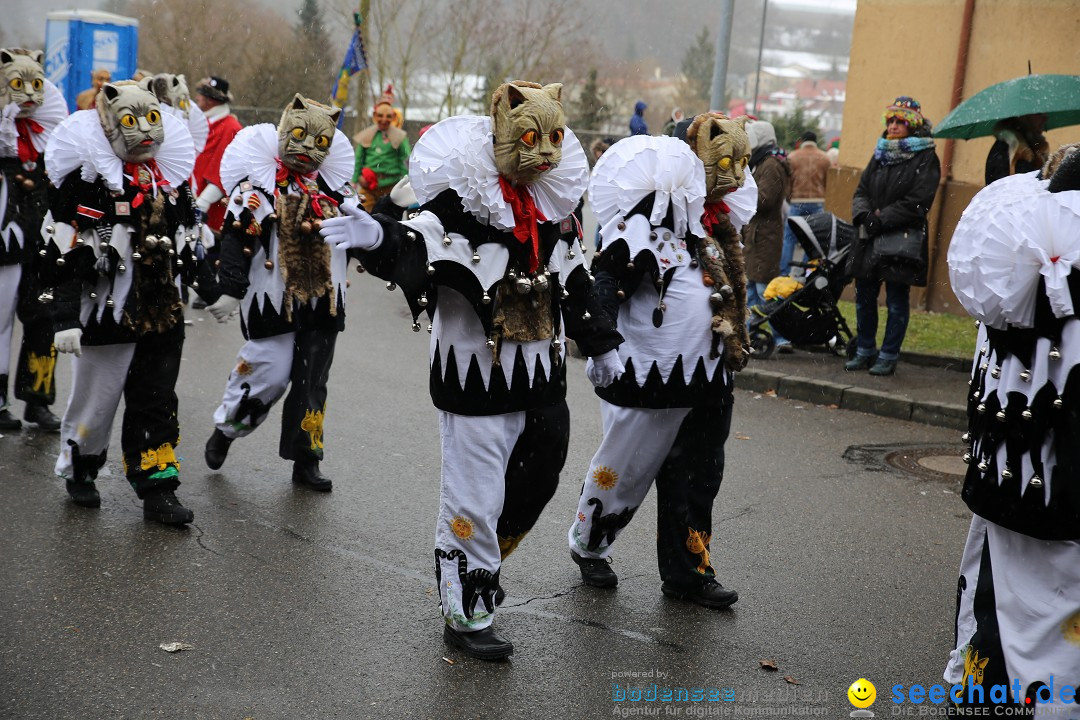 Fasnet Festumzug mit Motivwagen : Stockach am Bodensee, 01.02.2015