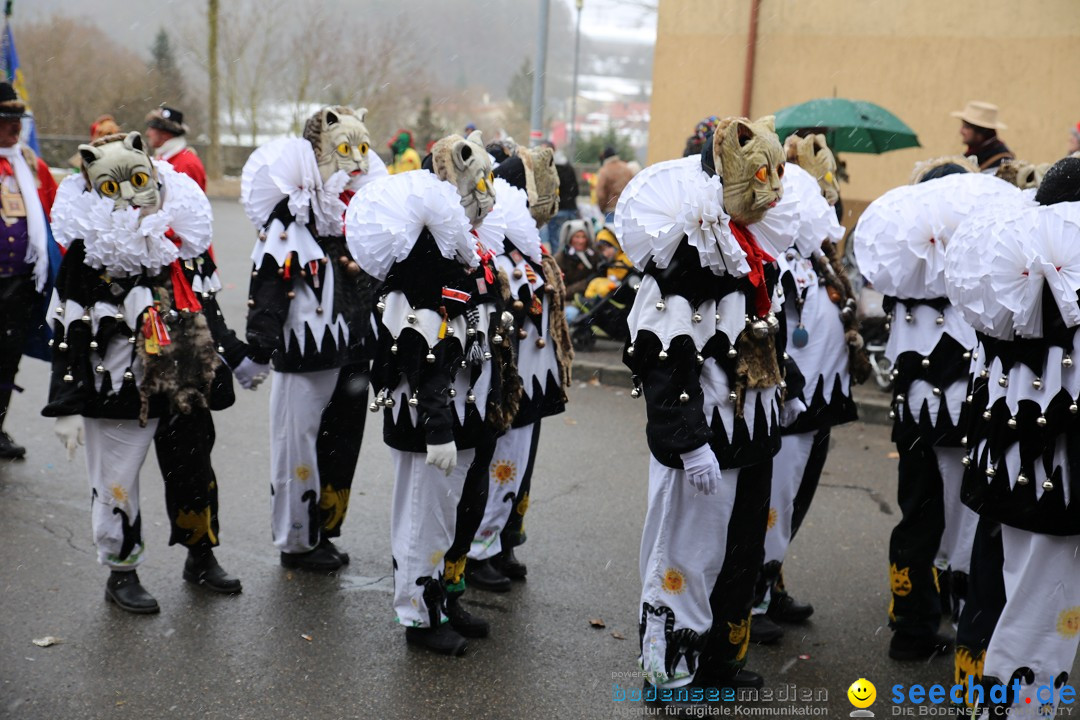 Fasnet Festumzug mit Motivwagen : Stockach am Bodensee, 01.02.2015