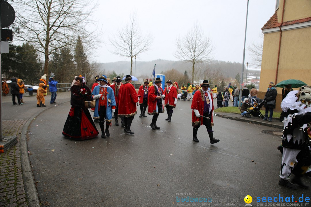 Fasnet Festumzug mit Motivwagen : Stockach am Bodensee, 01.02.2015