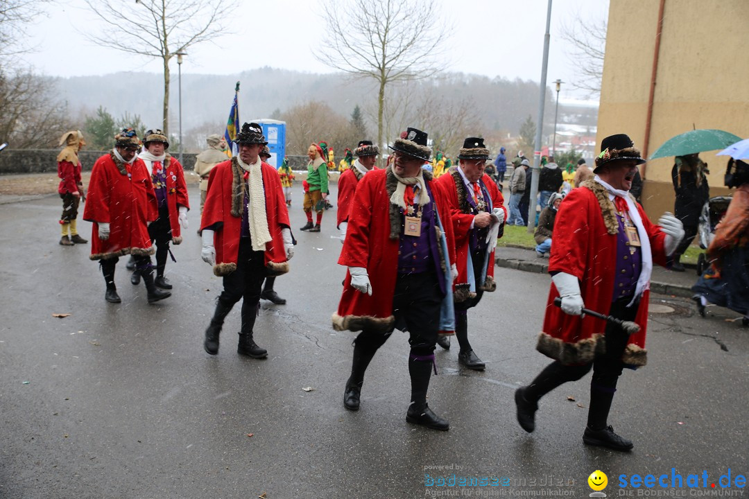 Fasnet Festumzug mit Motivwagen : Stockach am Bodensee, 01.02.2015