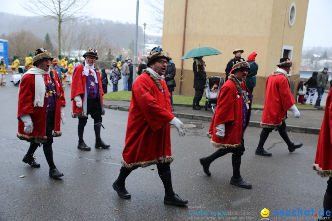 Fasnet Festumzug mit Motivwagen : Stockach am Bodensee, 01.02.2015