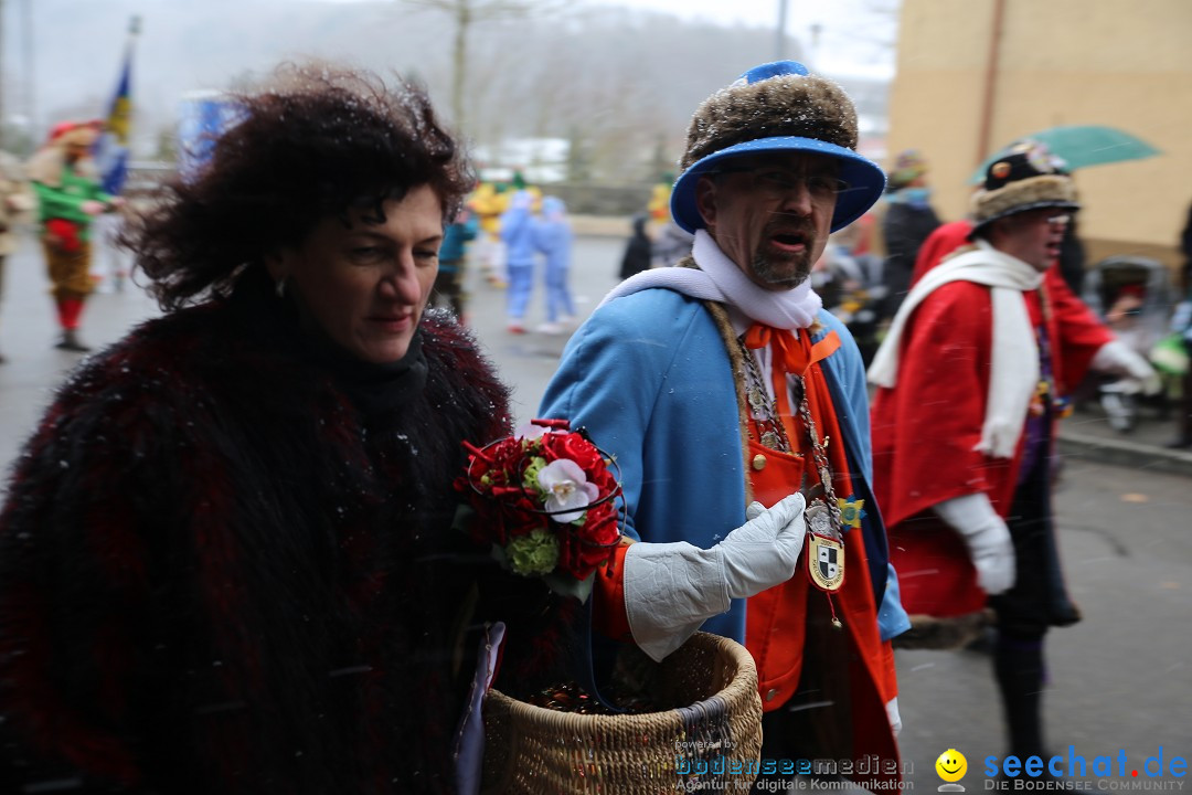 Fasnet Festumzug mit Motivwagen : Stockach am Bodensee, 01.02.2015