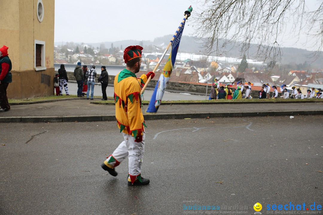 Fasnet Festumzug mit Motivwagen : Stockach am Bodensee, 01.02.2015