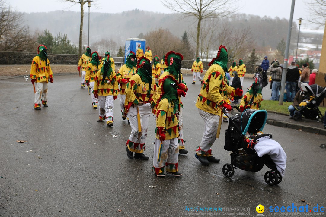 Fasnet Festumzug mit Motivwagen : Stockach am Bodensee, 01.02.2015