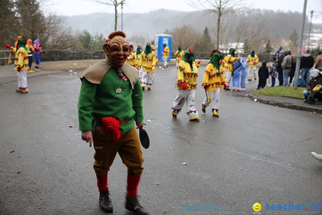 Fasnet Festumzug mit Motivwagen : Stockach am Bodensee, 01.02.2015