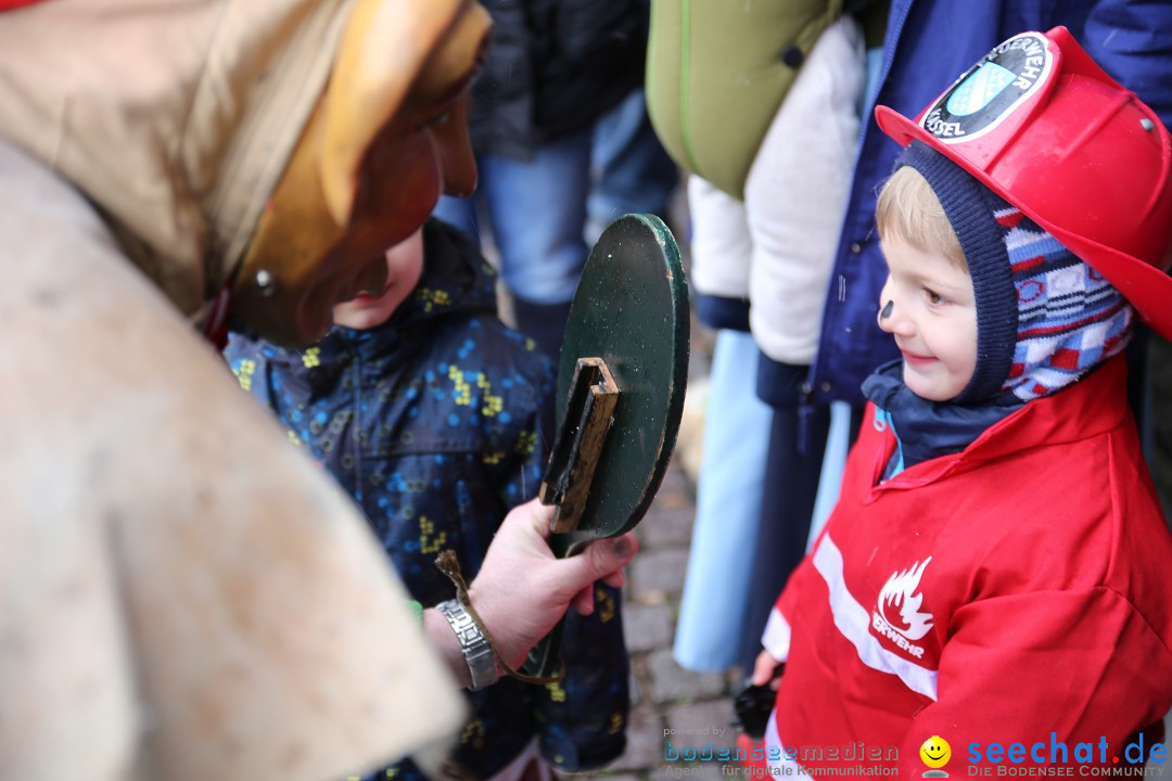 Fasnet Festumzug mit Motivwagen : Stockach am Bodensee, 01.02.2015