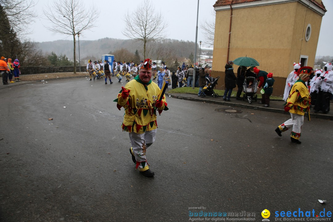 Fasnet Festumzug mit Motivwagen : Stockach am Bodensee, 01.02.2015