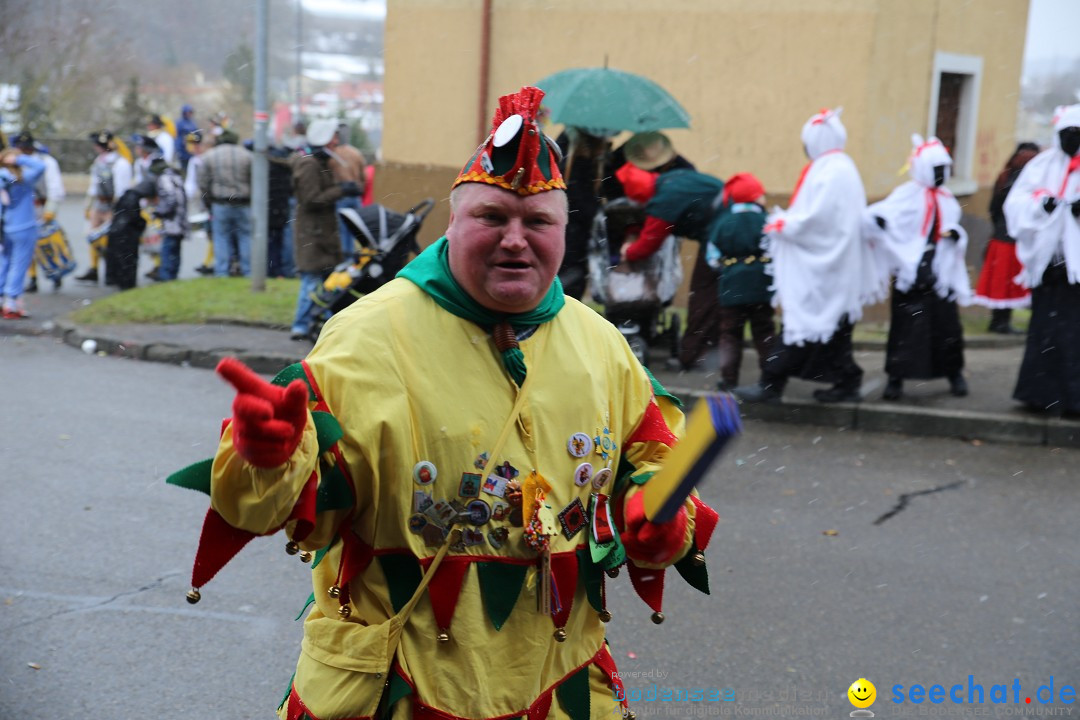 Fasnet Festumzug mit Motivwagen : Stockach am Bodensee, 01.02.2015