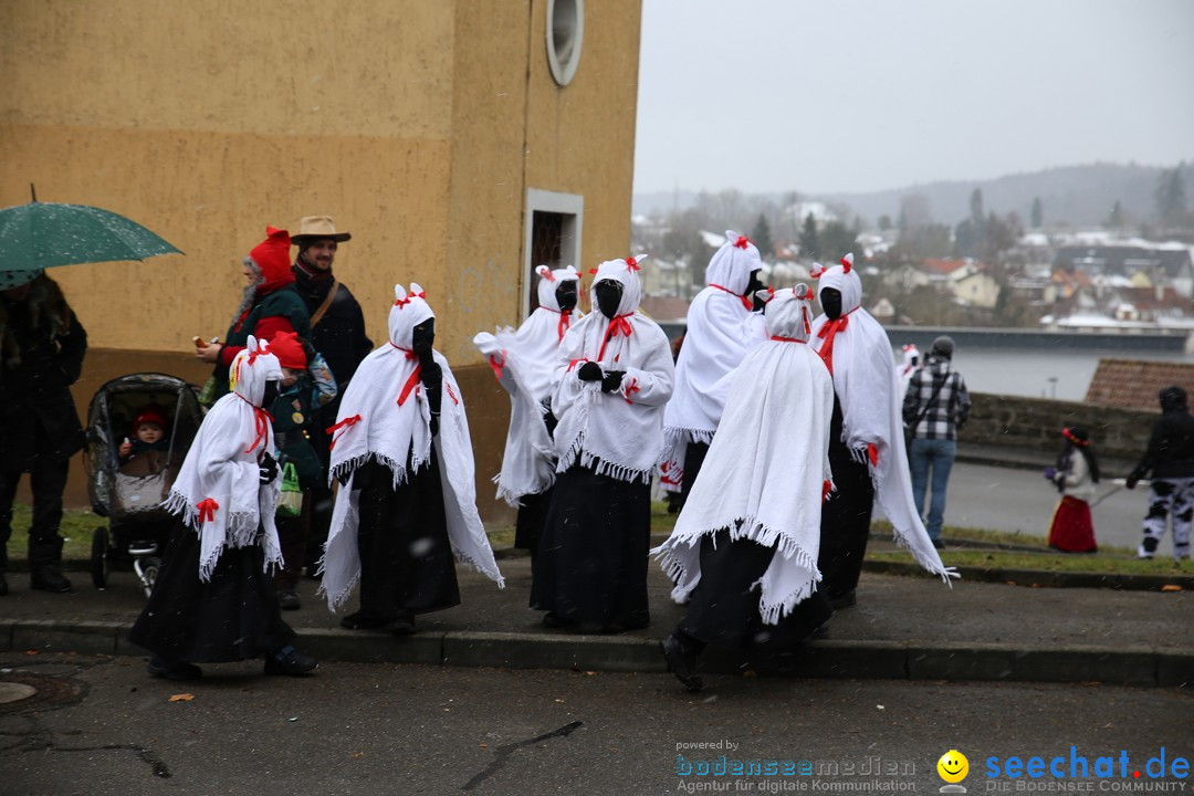 Fasnet Festumzug mit Motivwagen : Stockach am Bodensee, 01.02.2015