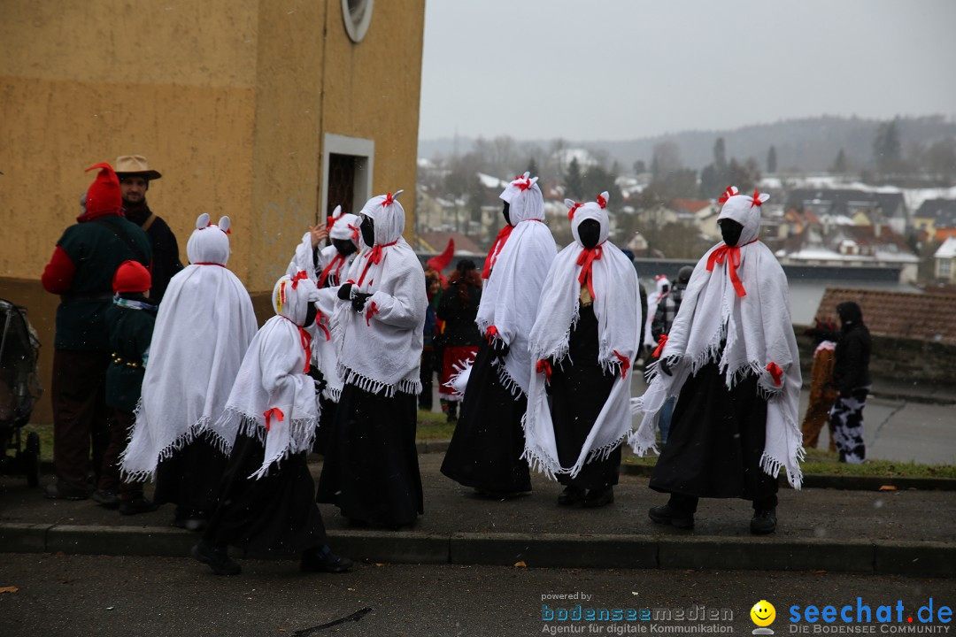 Fasnet Festumzug mit Motivwagen : Stockach am Bodensee, 01.02.2015