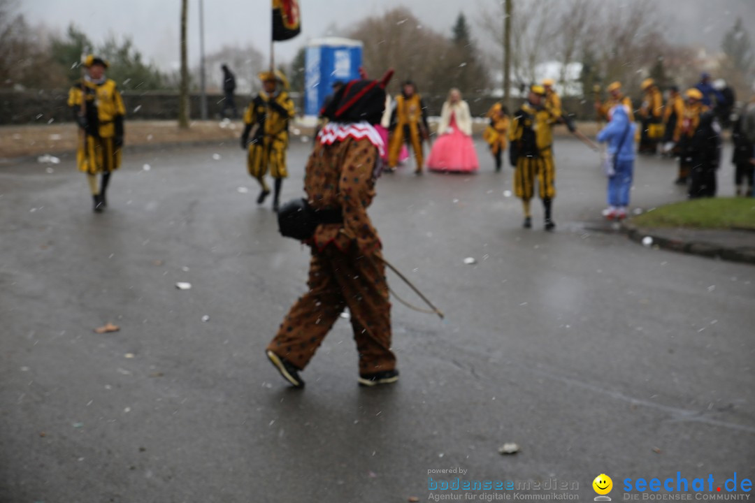 Fasnet Festumzug mit Motivwagen : Stockach am Bodensee, 01.02.2015