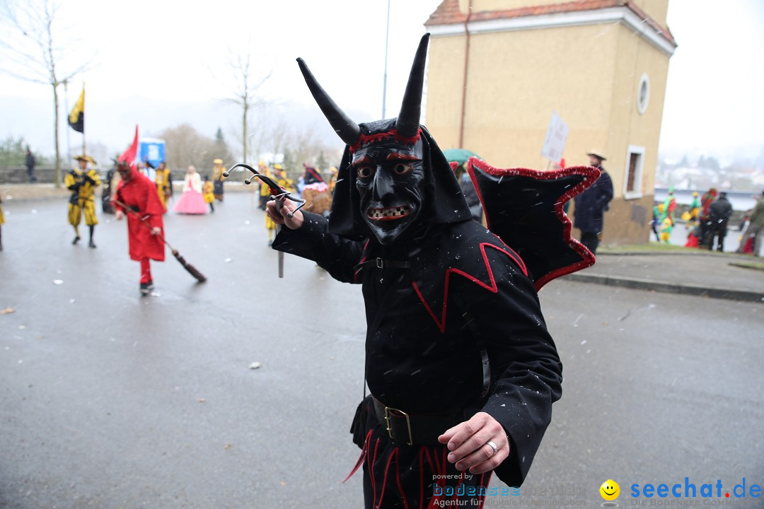 Fasnet Festumzug mit Motivwagen : Stockach am Bodensee, 01.02.2015