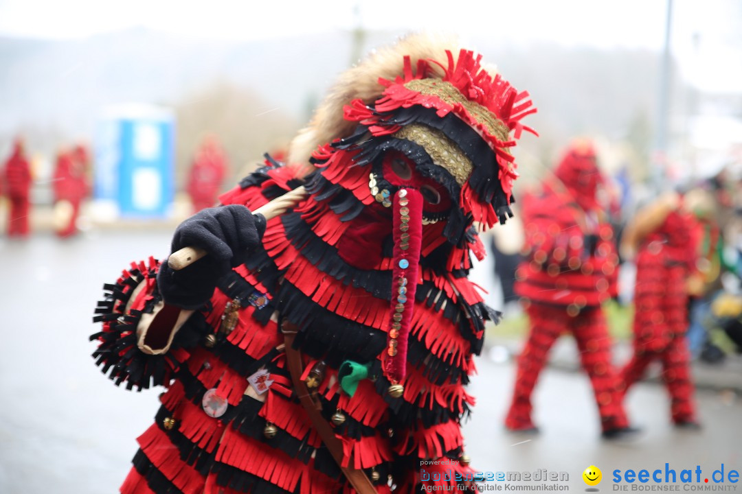 Fasnet Festumzug mit Motivwagen : Stockach am Bodensee, 01.02.2015