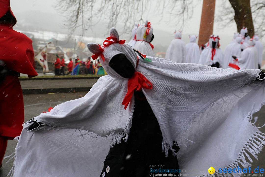 Fasnet Festumzug mit Motivwagen : Stockach am Bodensee, 01.02.2015