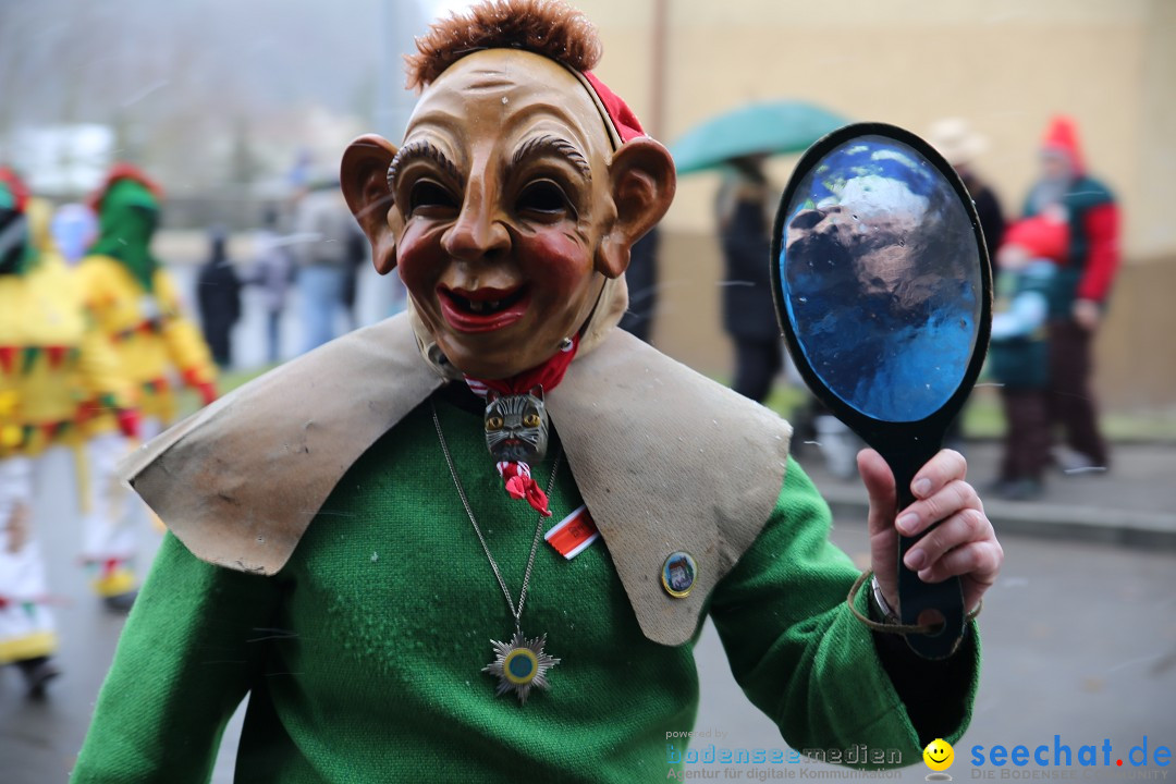 Fasnet Festumzug mit Motivwagen : Stockach am Bodensee, 01.02.2015