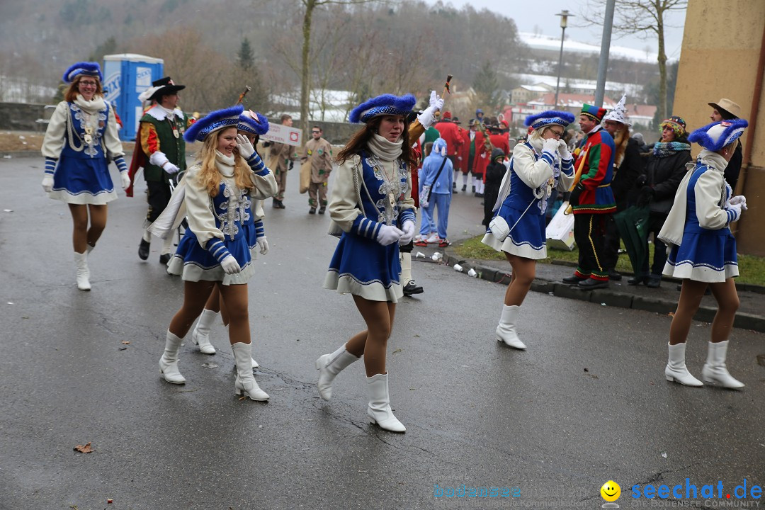 Fasnet Festumzug mit Motivwagen : Stockach am Bodensee, 01.02.2015