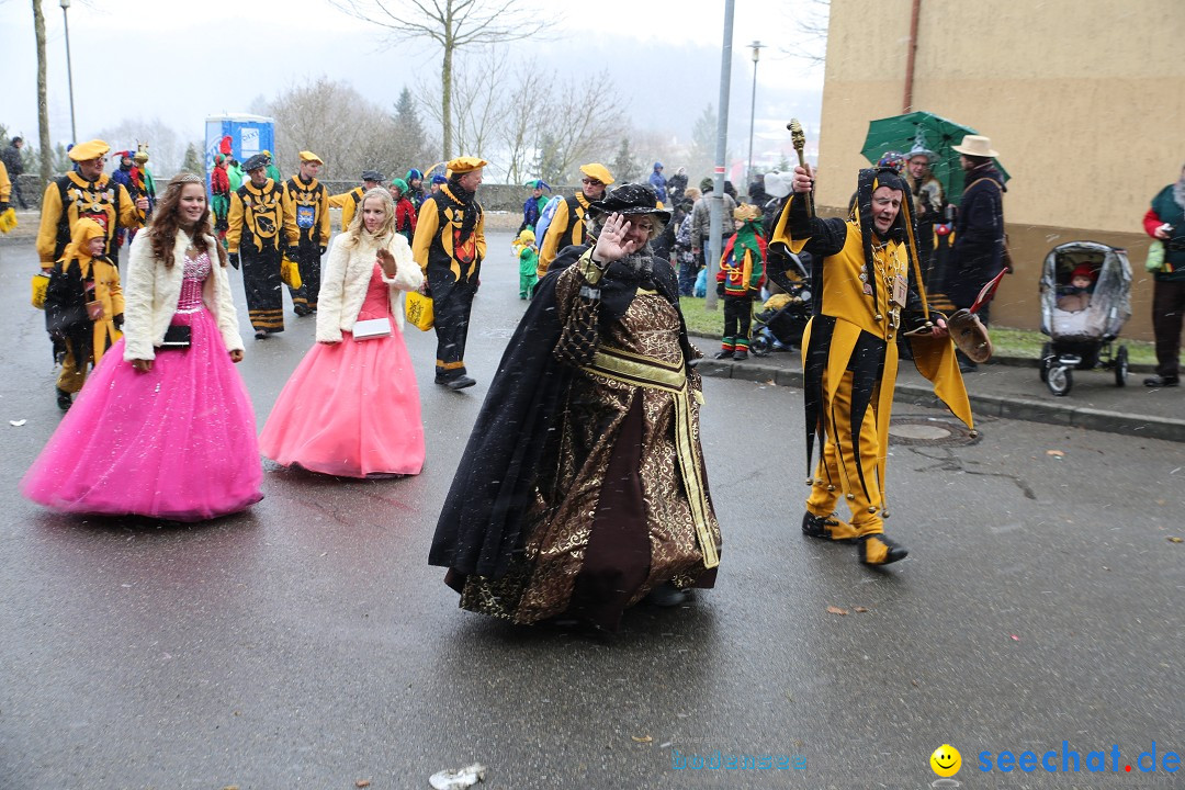 Fasnet Festumzug mit Motivwagen : Stockach am Bodensee, 01.02.2015