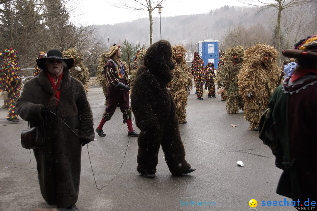 Festumzug mit Motivwagen: Stockach am Bodensee, 01.02.2015