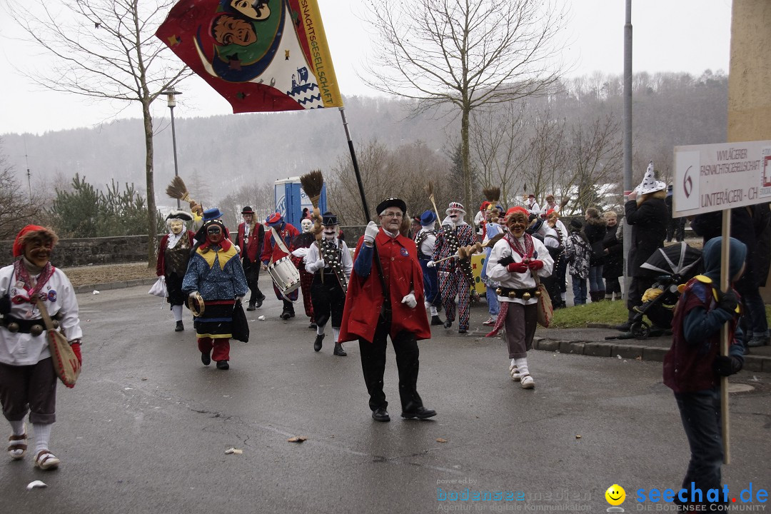 Festumzug mit Motivwagen: Stockach am Bodensee, 01.02.2015