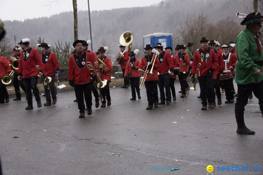 Festumzug mit Motivwagen: Stockach am Bodensee, 01.02.2015