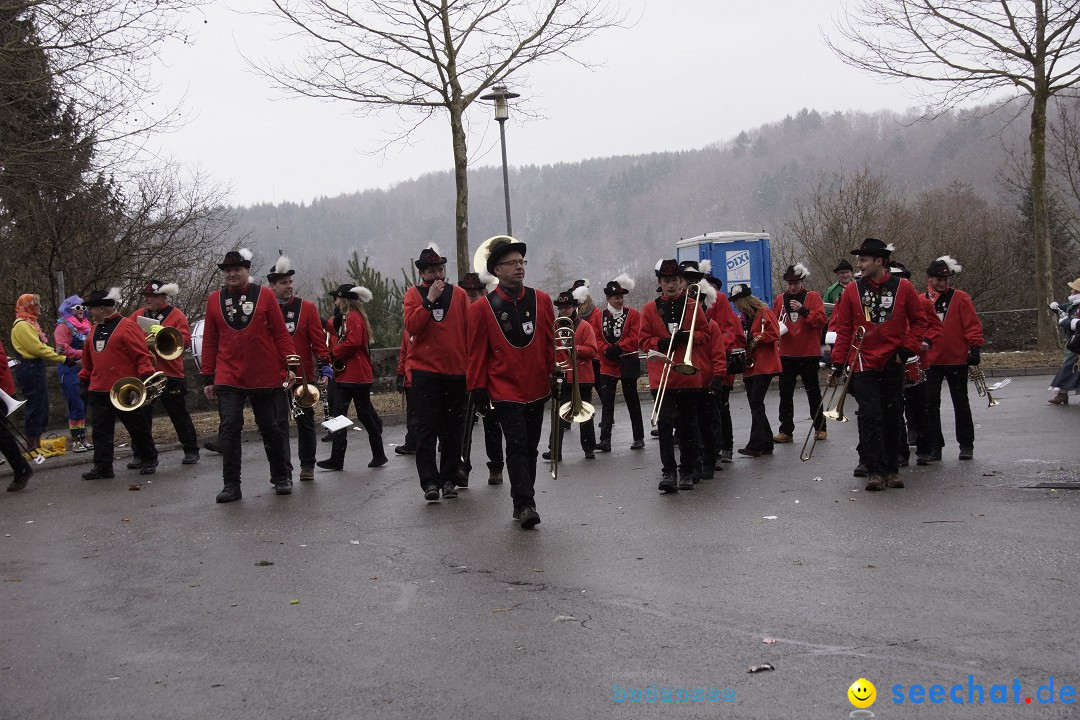 Festumzug mit Motivwagen: Stockach am Bodensee, 01.02.2015