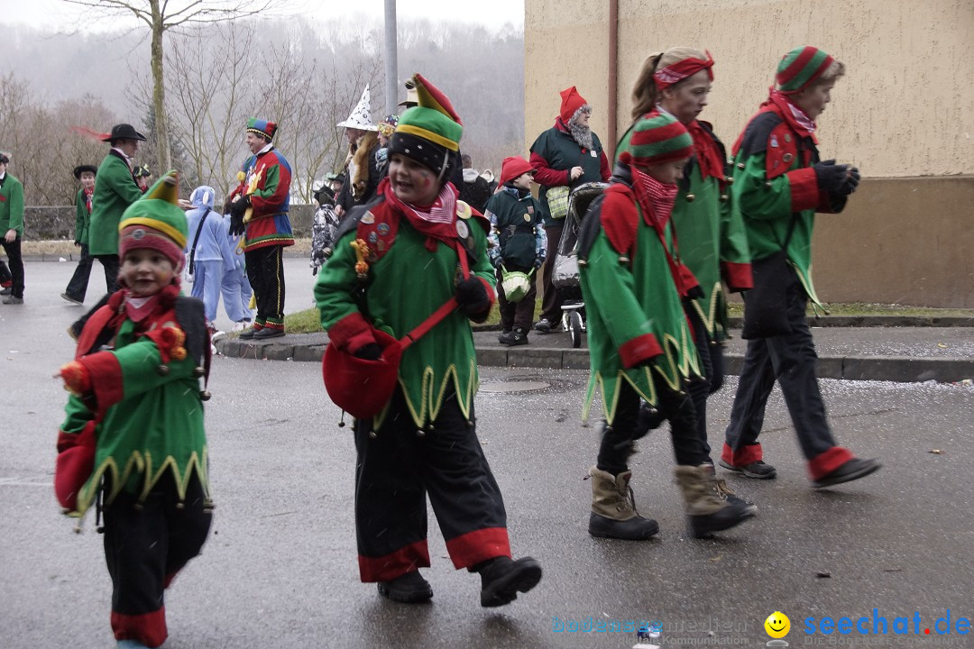 Festumzug mit Motivwagen: Stockach am Bodensee, 01.02.2015