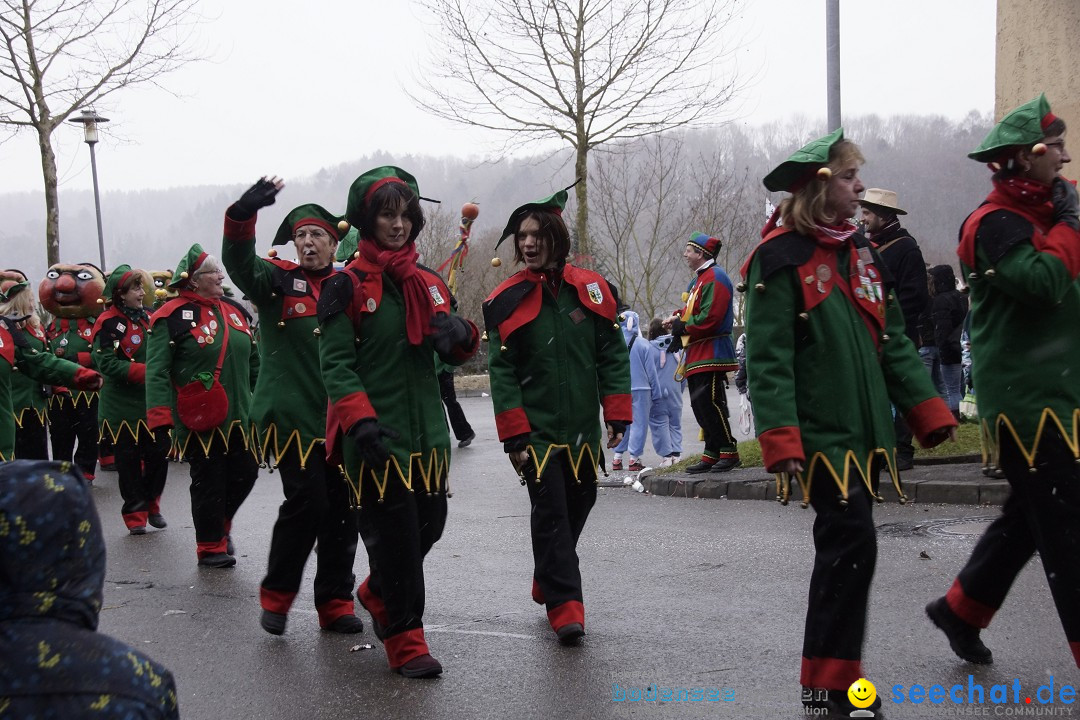 Festumzug mit Motivwagen: Stockach am Bodensee, 01.02.2015