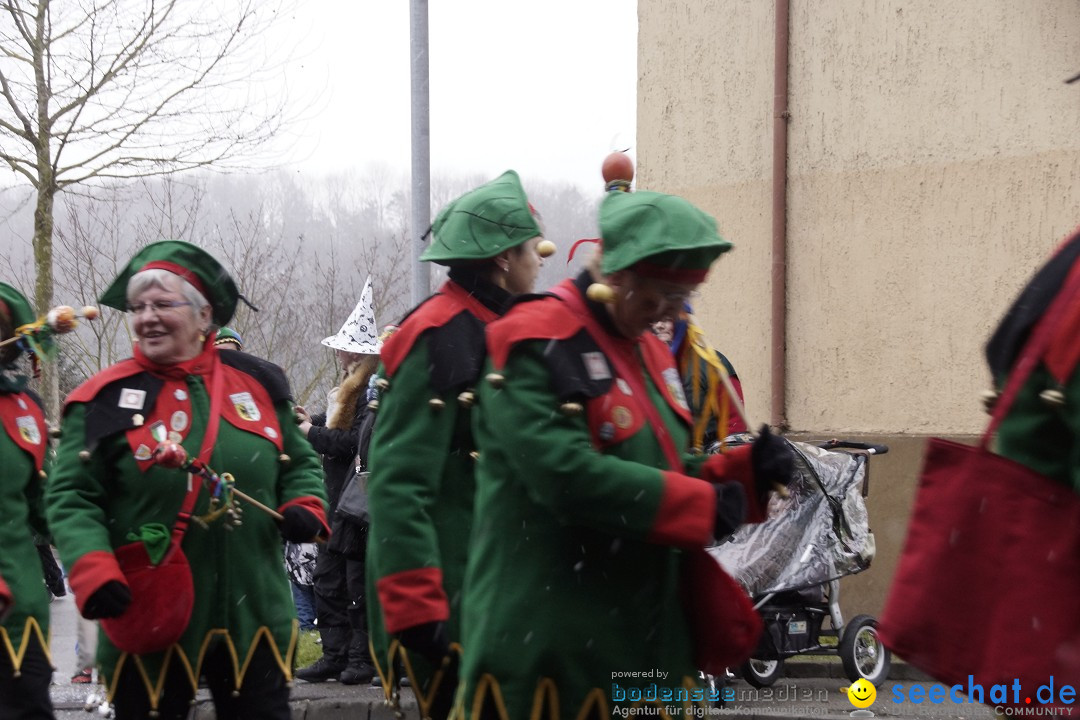 Festumzug mit Motivwagen: Stockach am Bodensee, 01.02.2015