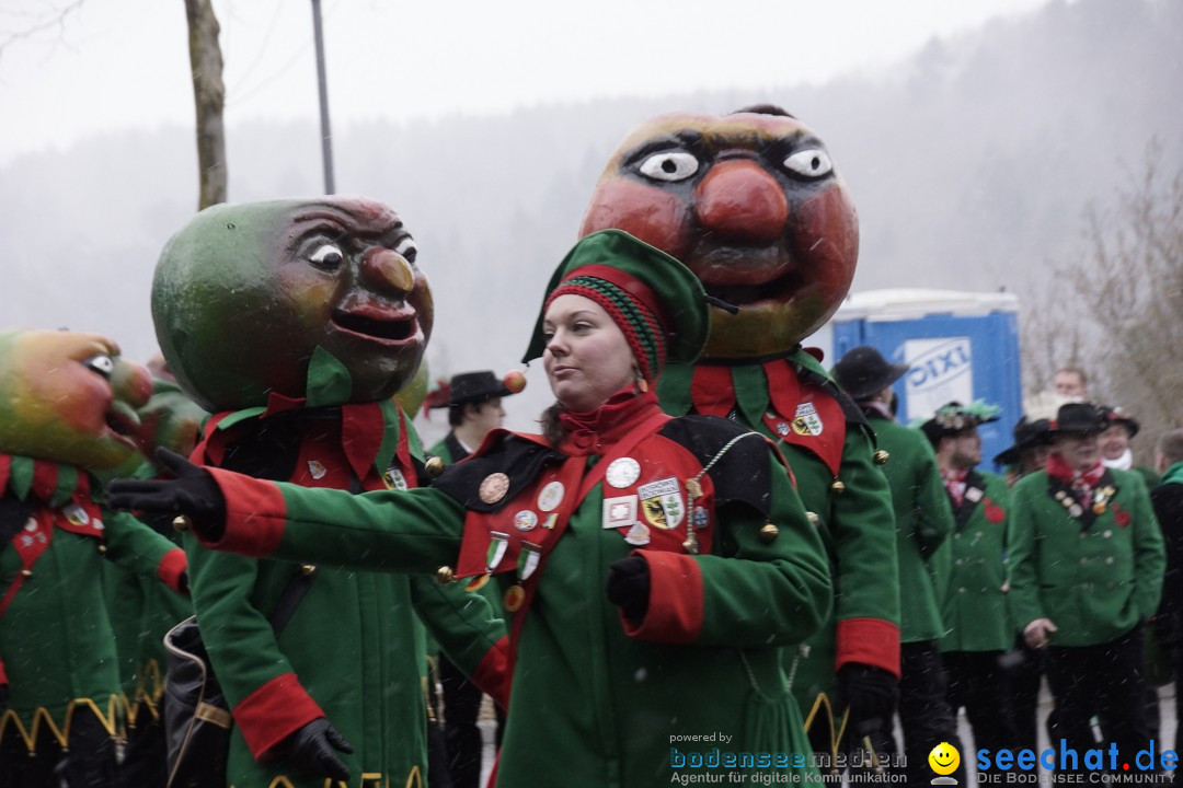 Festumzug mit Motivwagen: Stockach am Bodensee, 01.02.2015