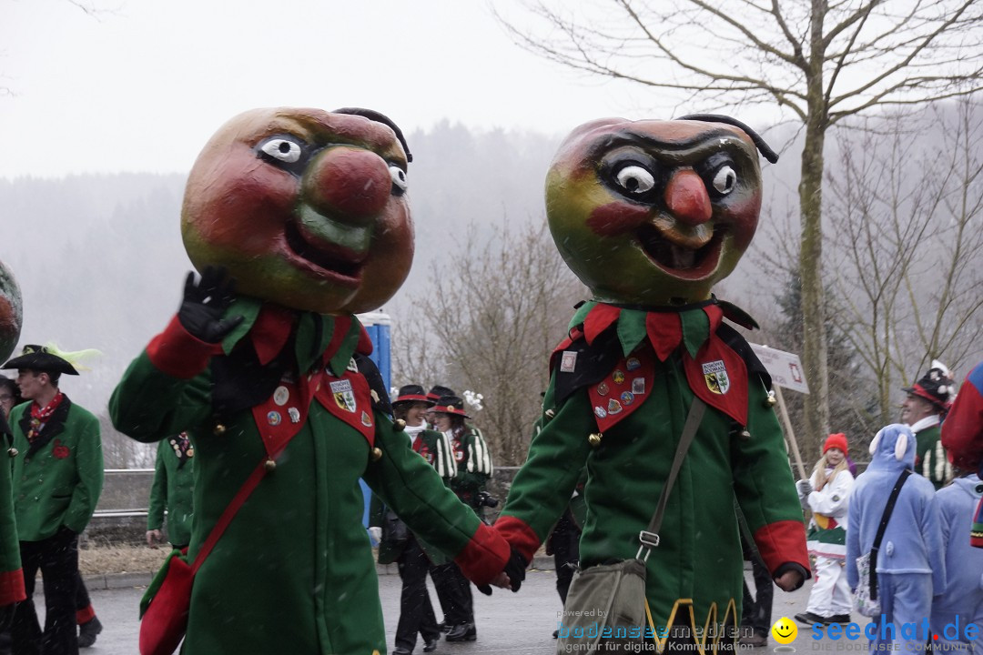 Festumzug mit Motivwagen: Stockach am Bodensee, 01.02.2015