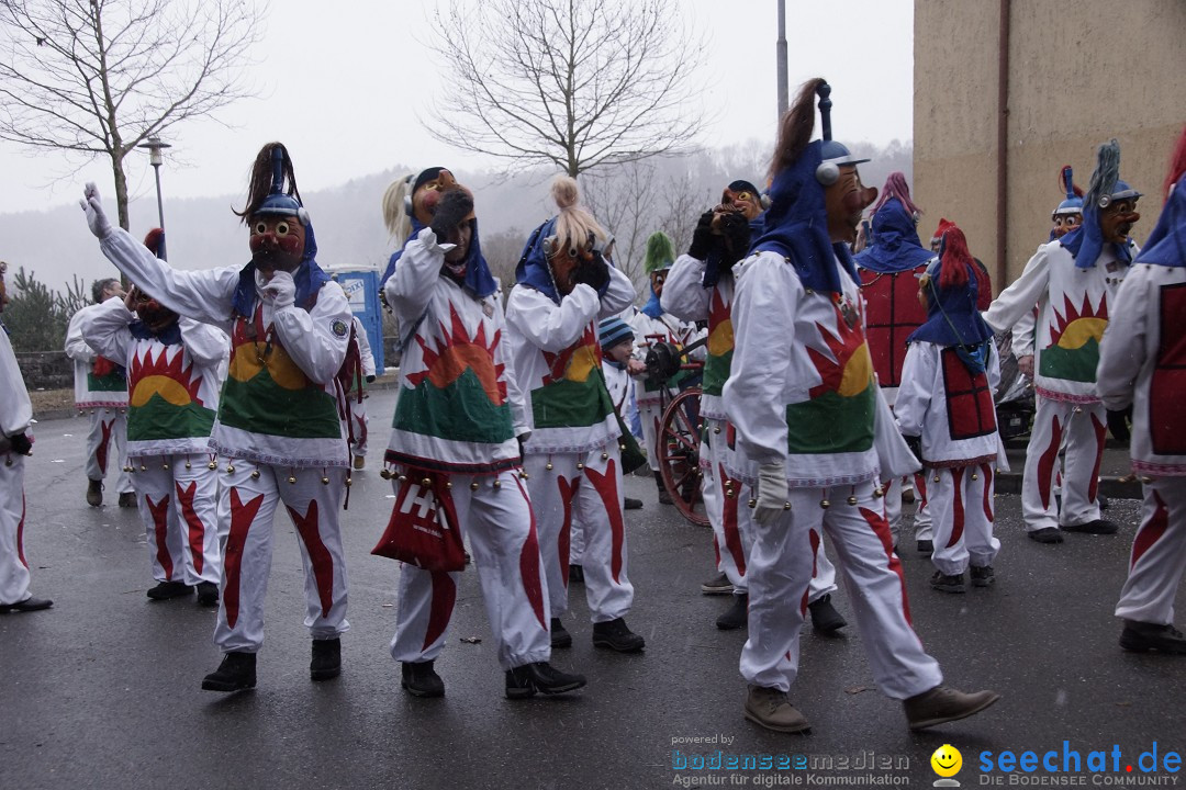 Festumzug mit Motivwagen: Stockach am Bodensee, 01.02.2015