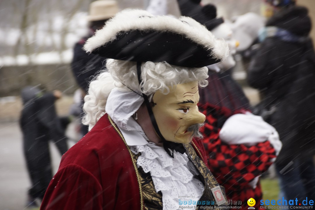 Festumzug mit Motivwagen: Stockach am Bodensee, 01.02.2015