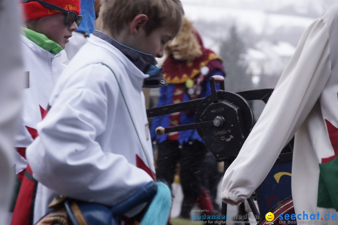 Festumzug mit Motivwagen: Stockach am Bodensee, 01.02.2015