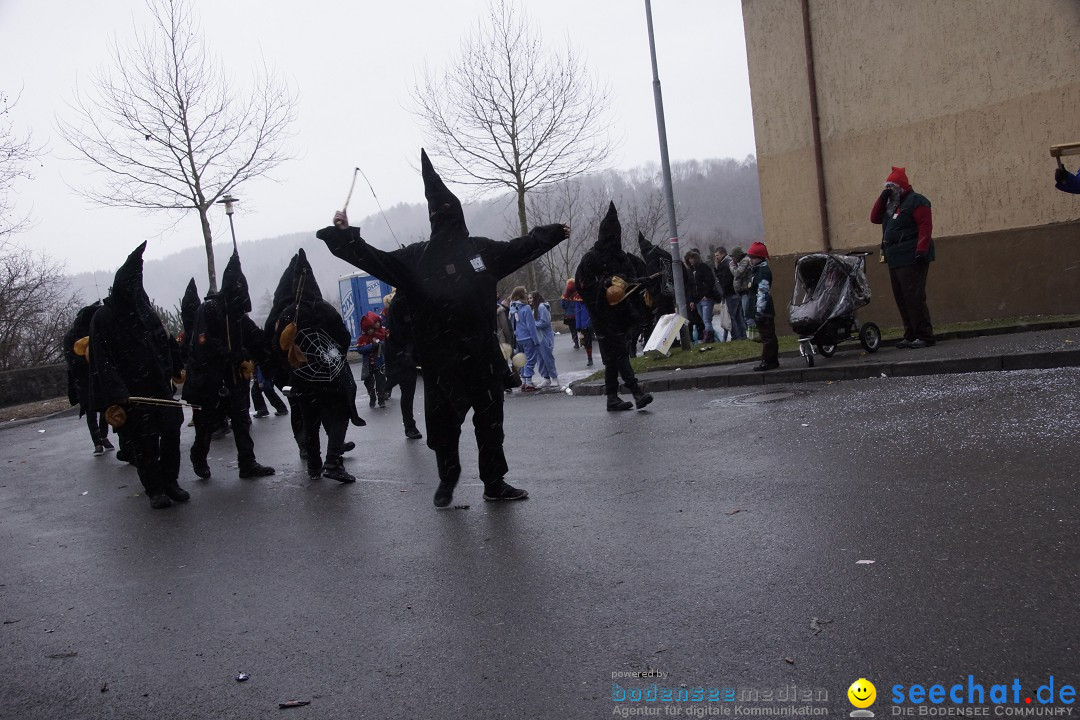 Festumzug mit Motivwagen: Stockach am Bodensee, 01.02.2015